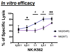 1685693963004.jpg (25 KB)