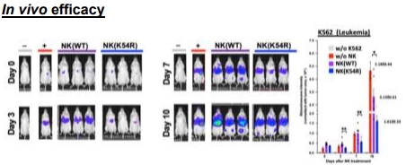 1685693978189.jpg (55 KB)